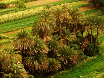 Marruecos, de contraste en contraste